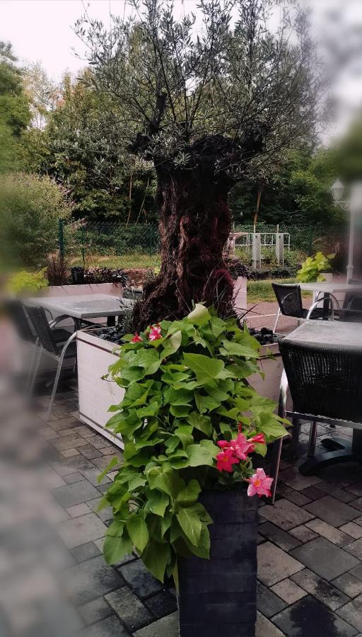 Bed and Breakfast Au Hameau De L'Ecluse Proche Europa-Park Marckolsheim Zewnętrze zdjęcie
