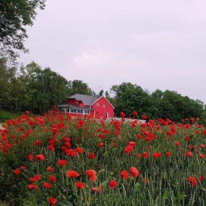 Bed and Breakfast Au Hameau De L'Ecluse Proche Europa-Park Marckolsheim Zewnętrze zdjęcie